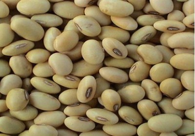 خواص گیاه سویا