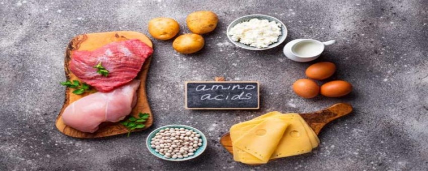 همه چیز درباره ی  اسید آمینه های ضروری