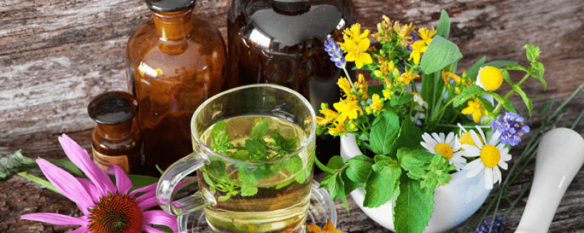 آشنایی با خواص درمانی گیاه شنگ