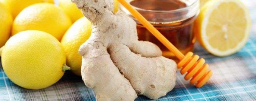 آشنایی با گیاه زنجبیل + تاریخچه آن