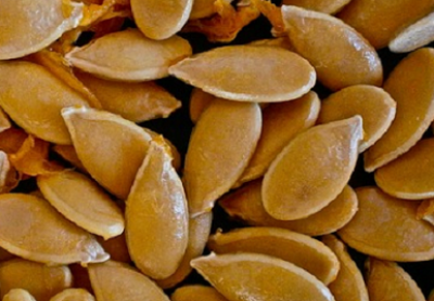 دانه کدو این خواص اعجاب انگیز را دارد