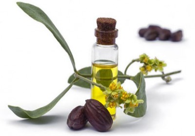 روغن جوجوبا و درمان آکنه
