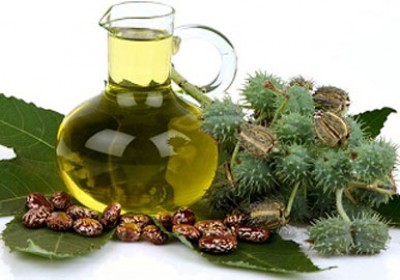 روغن کرچک و خواص بیشمار ان