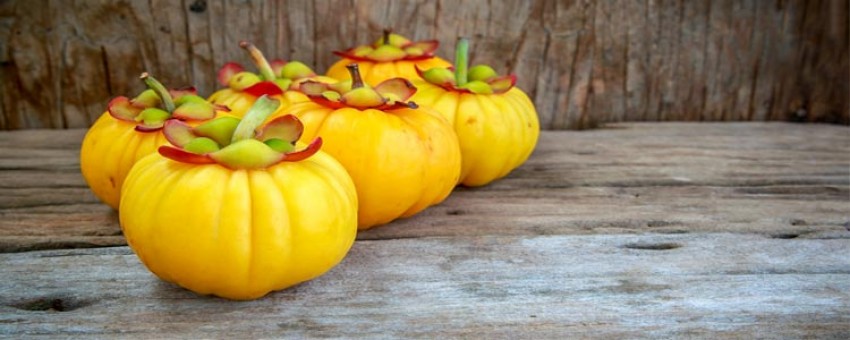 همه چیز درباره‌ی قرص لاغری گارسینیا کامبوجیا