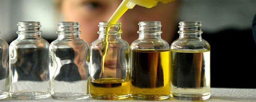 روغن کرچک و خواص بیشمار ان