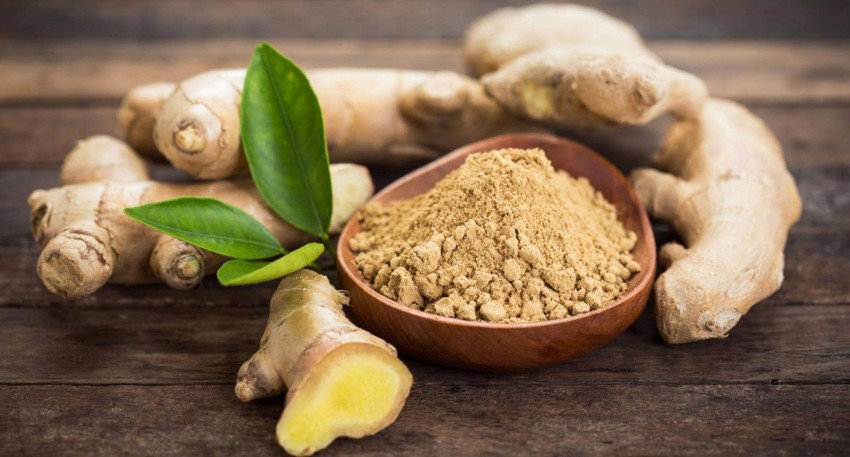 خواص دارویی و درمانی زنجبیل