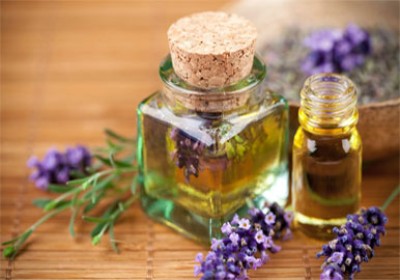 خواص گیاه رزماری برای پوست مو و ابرو