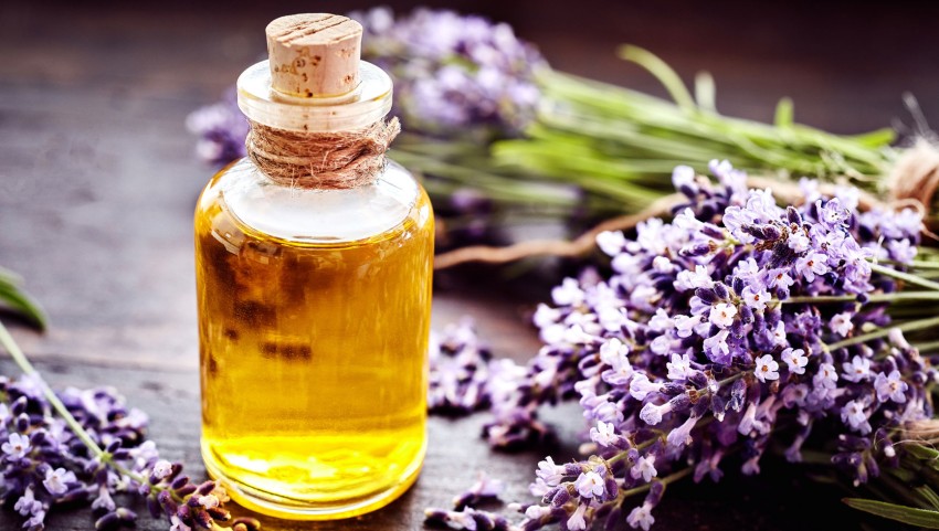 خواص گیاه رزماری برای پوست مو و ابرو