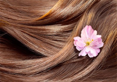 شیر مو چیست و چه عملکردی دارد؟