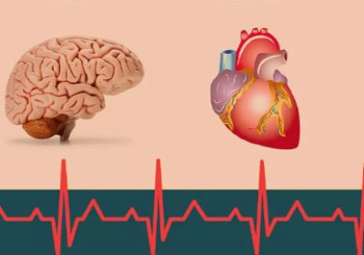 50% مرگ و میر ایرانی‌ها به دلیل سکته قلبی و مغزی است