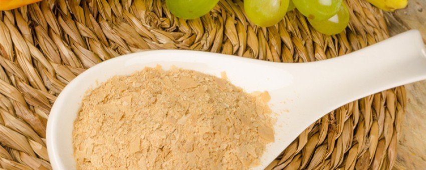 مخمر آبجو چیست؟