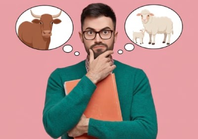 تب برفکی یا بیماری دهان و پا چیست؟ تشخیص علائم، علت و درمان